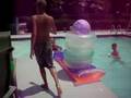 videos de pool fun