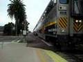Sweet and beautiful K5LA on Amcal #8301 who leads S/B #716