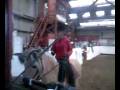 manege 2008.mp4