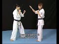 ShinKyokushin Instuction vid