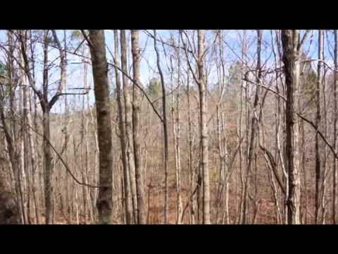 120 acres Waldo, AL