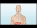 Click to see video