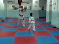 türkiye taekwondo a little fighter hasan can eröz 1/2