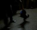 aca les dejo un  videito de rocky...
lo ven asi y tiene el espiritu de un american pit bull terrier jajaa..
pura pimienta...
espero ke les guste...
