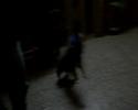 aca les dejo un  videito de rocky...
lo ven asi y tiene el espiritu de un american pit bull terrier jajaa..
pura pimienta...
espero ke les guste...