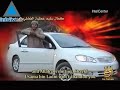 كمال سليم عطية الفضلي الهذلي, هذا هو الشخص الذي قام بتفجير نفسة في السفارة الدنماركية في العاصمة الباكستانية اسلام اباد.والذي يتبع لتنظيم القاعدة، مشيراً إلى أن العملية جاءت رداً على الرسوم التي اعتبرت مسيئة للنبي محمد، والتي نشرتها عدة صحف دانماركية. ووضع التفجير في سياق "الإبرار بوعد" زعيم تنظيم القاعدة، أسامة بن لادن، بتوجيه ضربات إلى كوبنهاغن التي هددها بأن تكون العملية "أول الغيث" ما لم تعتذر عن نشر تلك الرسوم. ووضعت القاعدة العملية في سياق: "الجهاد الشامل" ضد من وصفتهم بـ"الصليبيين واليهود،" و"الدفاع عن دينِ ودماءِ المسلمين وأراضيهم وأعراضهم، وأشرفها على الإطلاق عرضُ نبيهم. ومن جهة اخرى ادى هذا الهجوم الى مقتل 8 اشخاص منهم 7 مسلمون واصابة حوالى 30 آخرين.وت