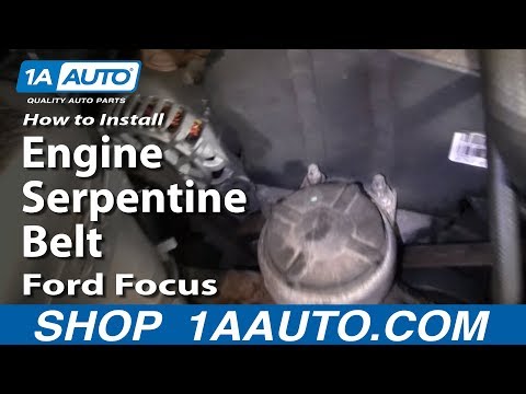 How To Install Replace Engine Serpentine Belt Ford Focus Zetec DOHC 1AAuto.com