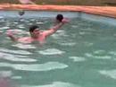 Dan�a do Siri