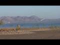 Wolfgang Siass Landing at the Lake Elsinore Marina