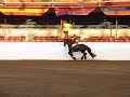 allard hand gallop allard hand gallop