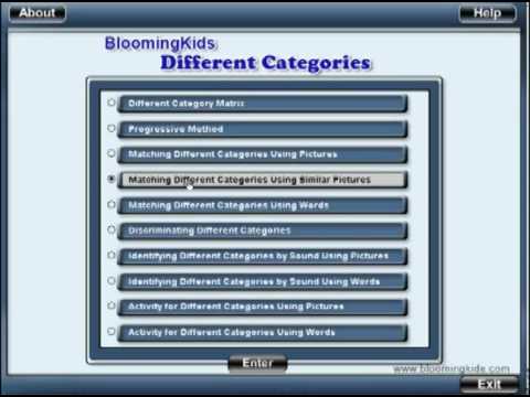 Different Categories – www.BloomingKids.com special needs software Autism PDD