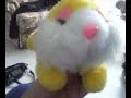 happy easter carbonear(part1) happy easter carbonear(part1)