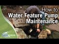 Pond Pump Maintenance and Troubleshooting