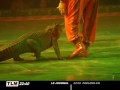 Lyon : Le cirque sur l'eau à la Part Dieu