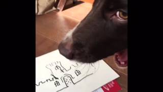 DAPHNE DOG DRAWS A CASTLE