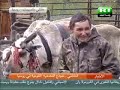تعتبر قومية الخانتي إحدى القوميات العديدة التي تعيش في سيبيريا، لكنها تتميز عن القوميات الاخرى بأنها تعيش وسط الغابات و يعد الوصول إليها أمرا ليس بالسهل إذ يتطلب طائرة مروحية.المهنة الأساسية التي يمارسها أبناء الخانتي هي تربية الأيائل وصيد الأسماك والدببة.  ويقيم الخانتي عيدا خاصا بالدببة حيث يكسونها بملابس مختلفة ويقومون بتزيينها بالحلي والمجوهرات ويرقصون حولها طالبين منها جلب الحظ والسعادة .