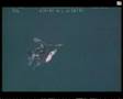 Gepard 1A2