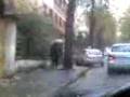 videos de il lusso delle foglie morte a viterbo