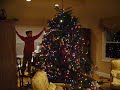 Reid Eberwein Decorates The Tree