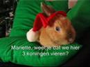 Kiwi Romero Christmas video