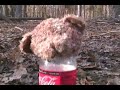 Top 5 ways to destroy ex-girlfriend stuff Top 5 ways to destroy ex-girlfriend stuff