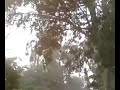 Largest ever anti-IJT protests at Punjab University - Part 1