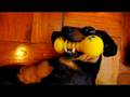 videos de Dachshund - his toy dumbbell (Part 4)