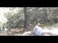 videos de Sportsman's News '08 Elk Hunt