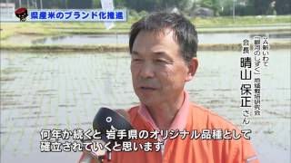 【第11回】　県産米のブランド化推進！～①「銀河のしずく」のデビューに向けて～