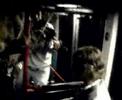 busconcert @ 5 A.M. violin/mandolin Matthijs L & Simon S