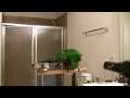 videos de Gershwin the Eclectus Parrot and the blowdryer