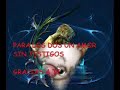 roxette alguien espa�ol