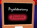 Żywiec - Zwardoń (droga ekspresowa S69)