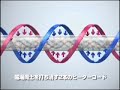 エレクトロラックス電磁波カットホットカーペット
