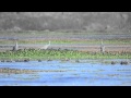 Myakka River State Park - Deep Hole Exploration ...