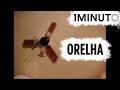 Orelha, de Mauricio Stal, 2007