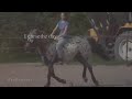 Click here to watch this video I hope you know this song is about you ♥