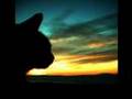 The Sixteen Cats- Buried Secrets Trailer  (NEED VOICES!)