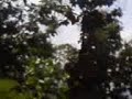 Journey to Malvan Vol 1 Journey to Malvan Vol 1