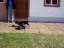 Jamie spielt mit Mama und Geschwistern