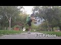 Lower Training