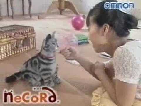 Imagen de previsualización de YouTube