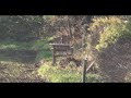 Click here to watch this video Weihrauch HW 100 TK .22 12ftlbs 100m shot