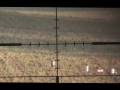 Ver Video