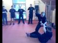 Self defence SiFu Koviljac 2.