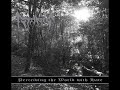 band: Striborg song: Call Of The Redwood Forest (contains vocals and keys from Malefic) album: Perceiving The World With Hate (2009)