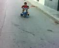 un maxaxino trompeando