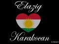 Beser Sahin-K?rmanciye Beser Sahin-K?rmanciye