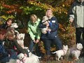 Westieboard-Treffen 2008 Bad Harzburg Teil2