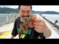 Click here to watch this video TORPEDO日記和歌山マリーナシティ編